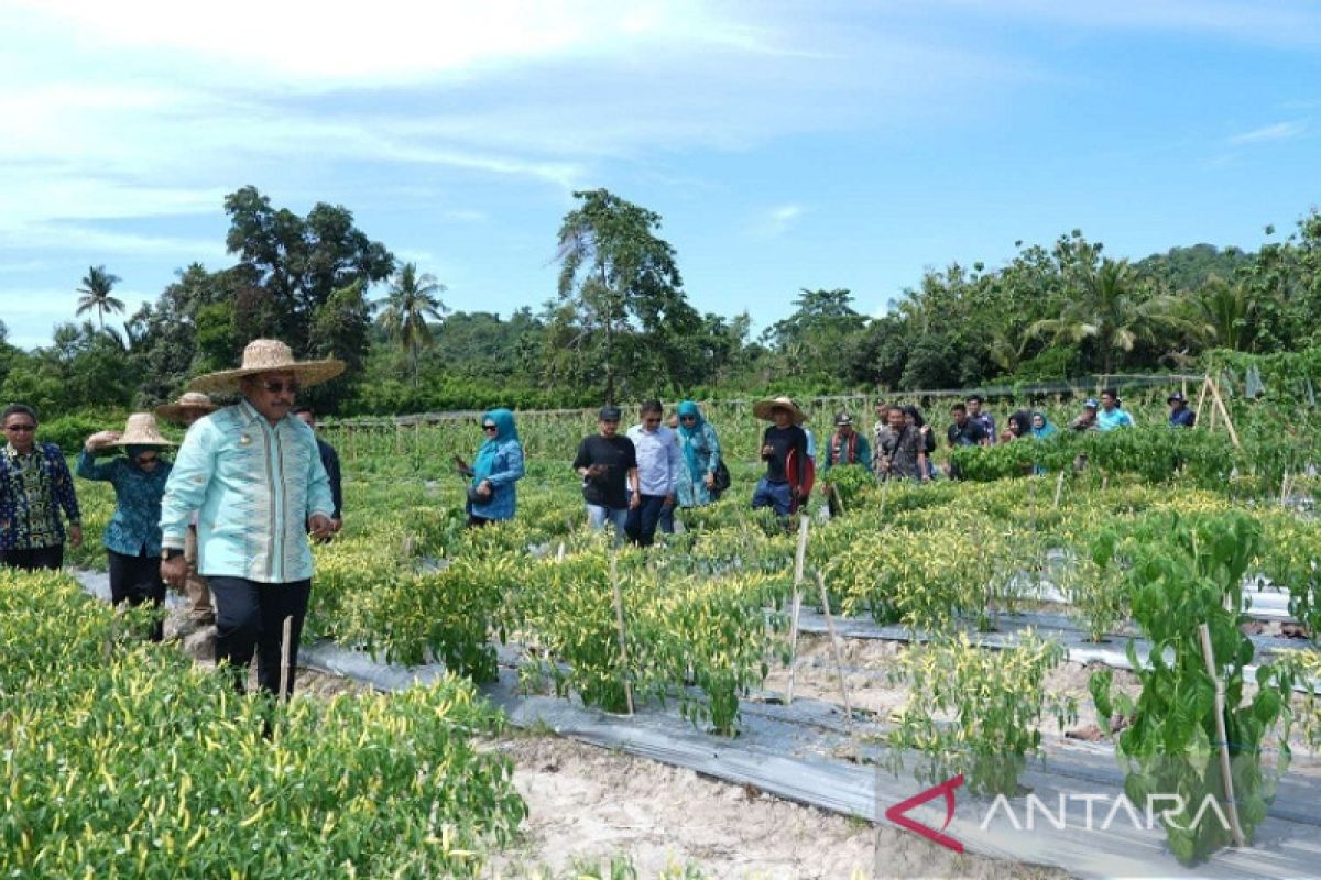 Bupati Bombana panen perdana program "satu hektare satu OPD"