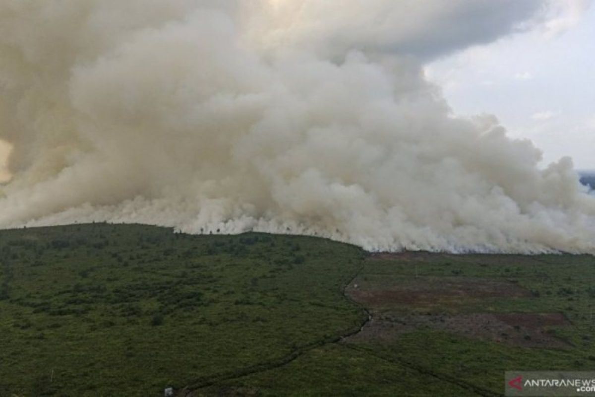 Petugas gabungan padamkan karhutla di empat tempat di Riau