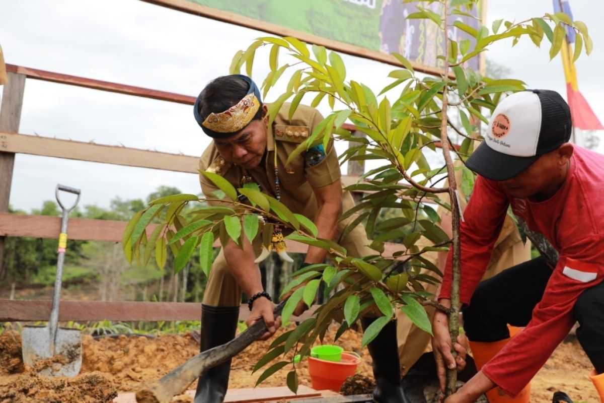 Gubernur apresiasi peran BMF majukan pertanian dan peternakan