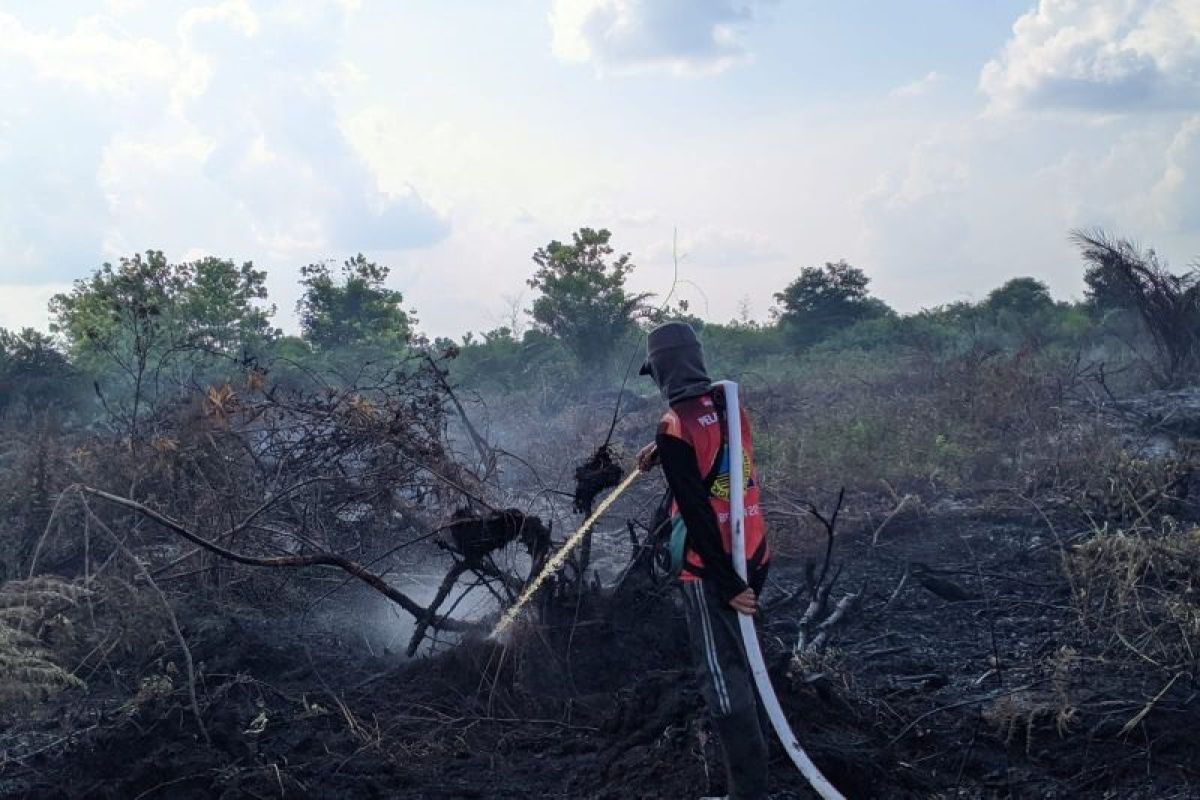 BPBD berhasil padamkan kebakaran di 23,47 hektare lahan gambut