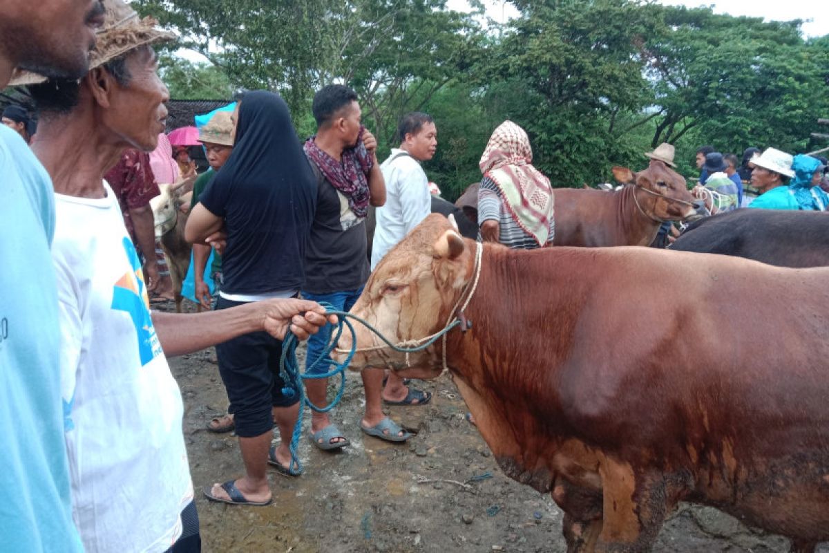 Kota Mataram punya stok 1.000 dosis vaksin PMK persiapan Idul Adha