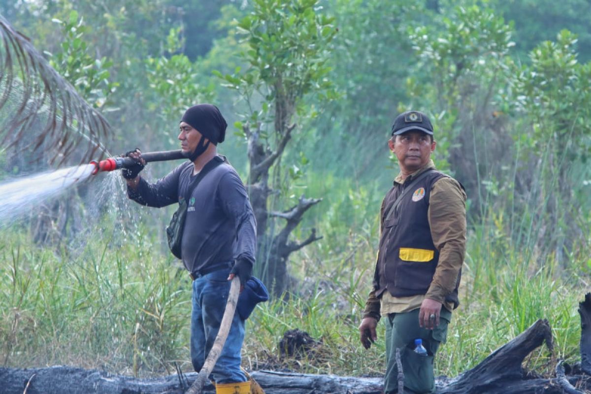 10 hektare lahan di Suaka Margasatwa Giam Siak Kecil diduga dibakar