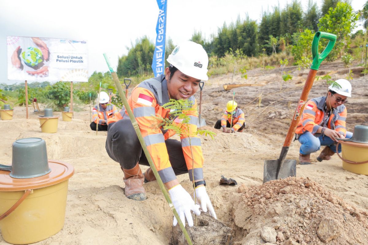 Semen Gresik tanam puluhan pohon di area reklamasi tambang