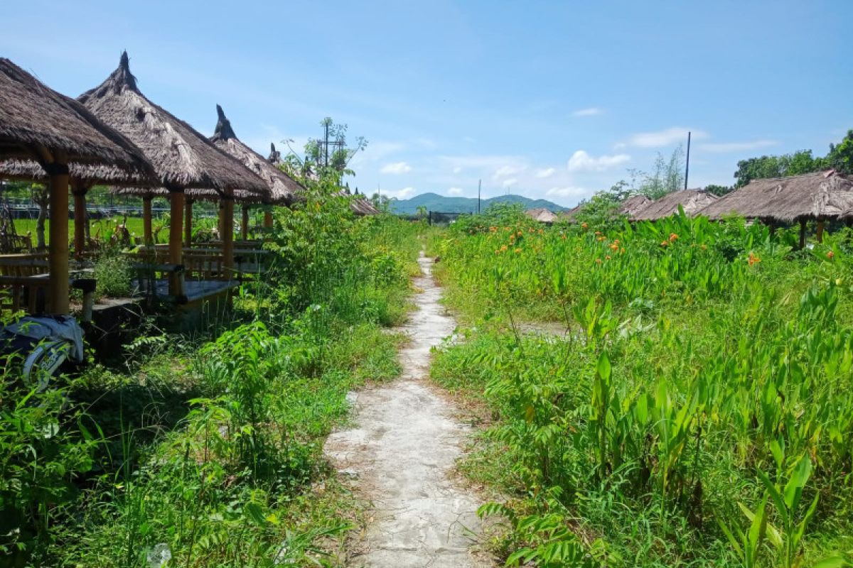 Pemkot Mataram membangun lapak relokasi PKL "bypass"