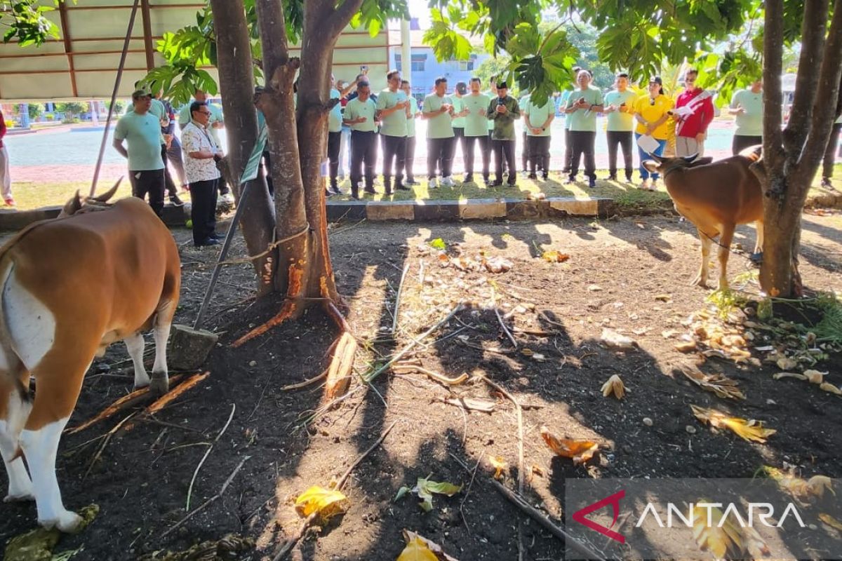 Wakil Jaksa Agung  berbagi 13 hewan kurban di NTT