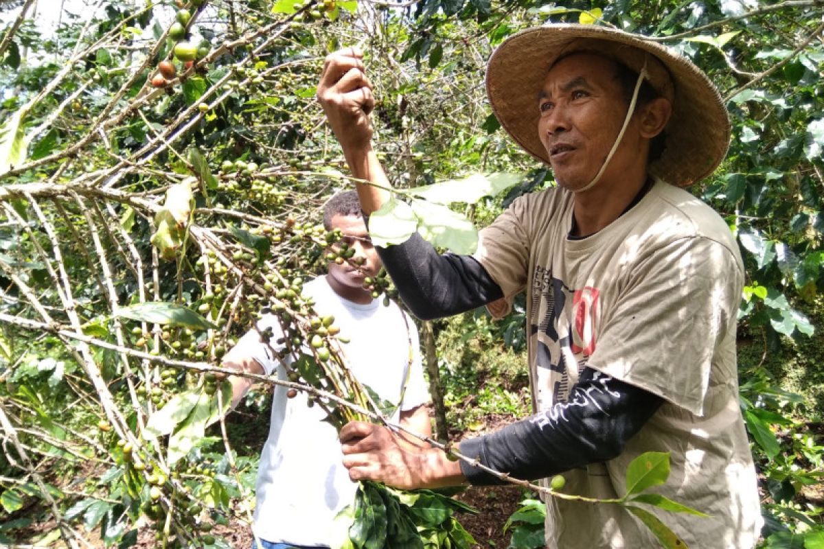 Danone Aqua dukung petani kopi dan konservasi air