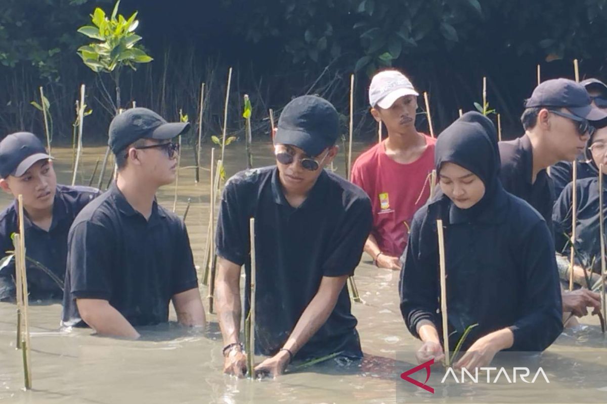 Bekasi minimalkan abrasi selamatkan wilayah pesisir