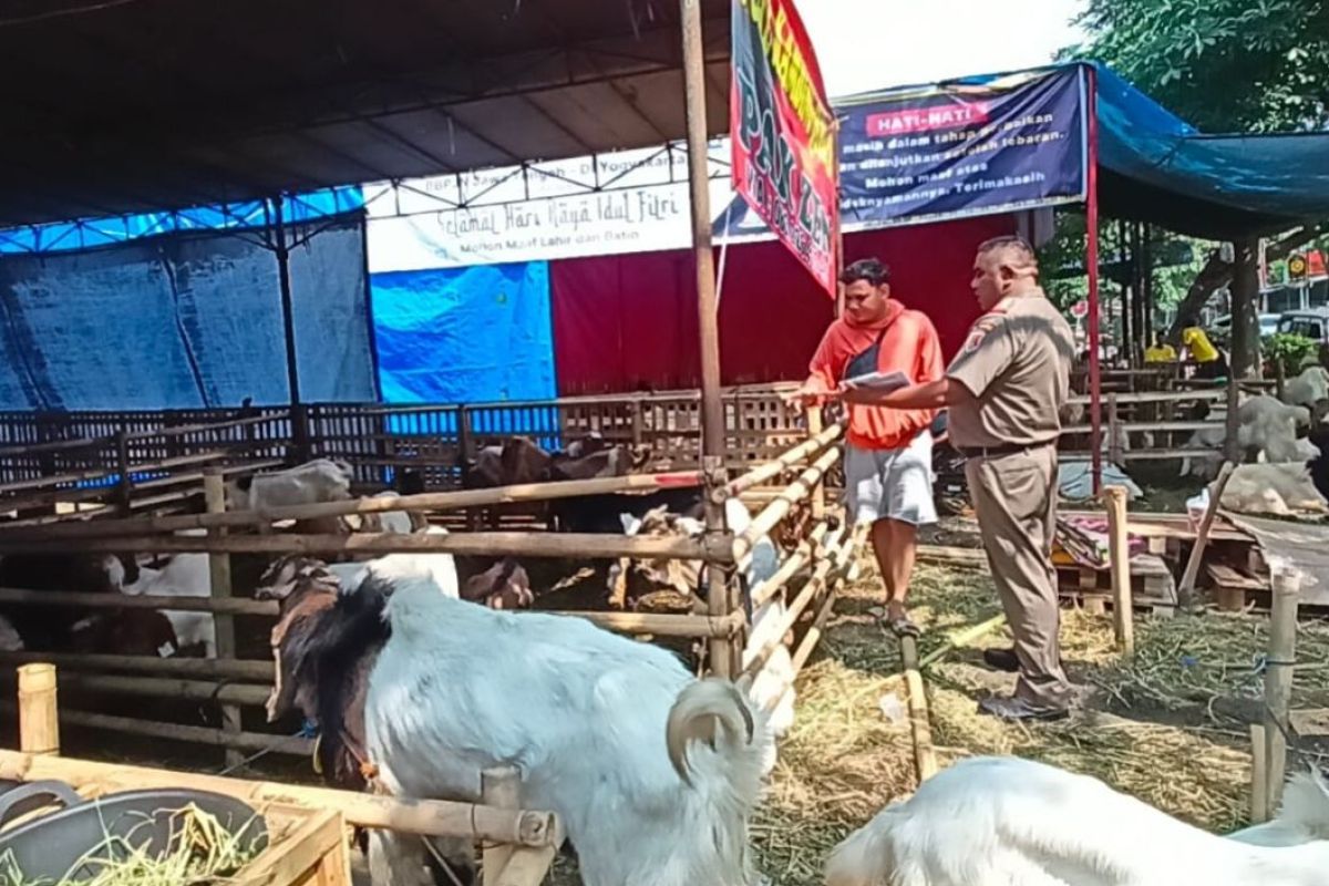 Pemkot Semarang perketat pengawasan hewan kurban