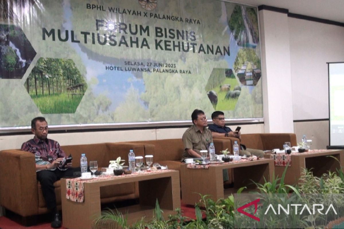 Kementerian LHK: Tingkatkan produktivitas lahan melalui Multiusaha Kehutanan di Kalteng