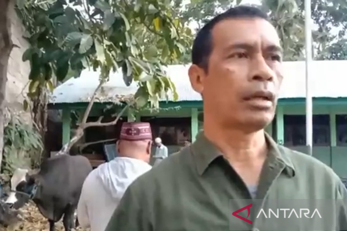 Presiden Jokowi bantu satu ekor sapi kurban bagi umat muslim di TTU