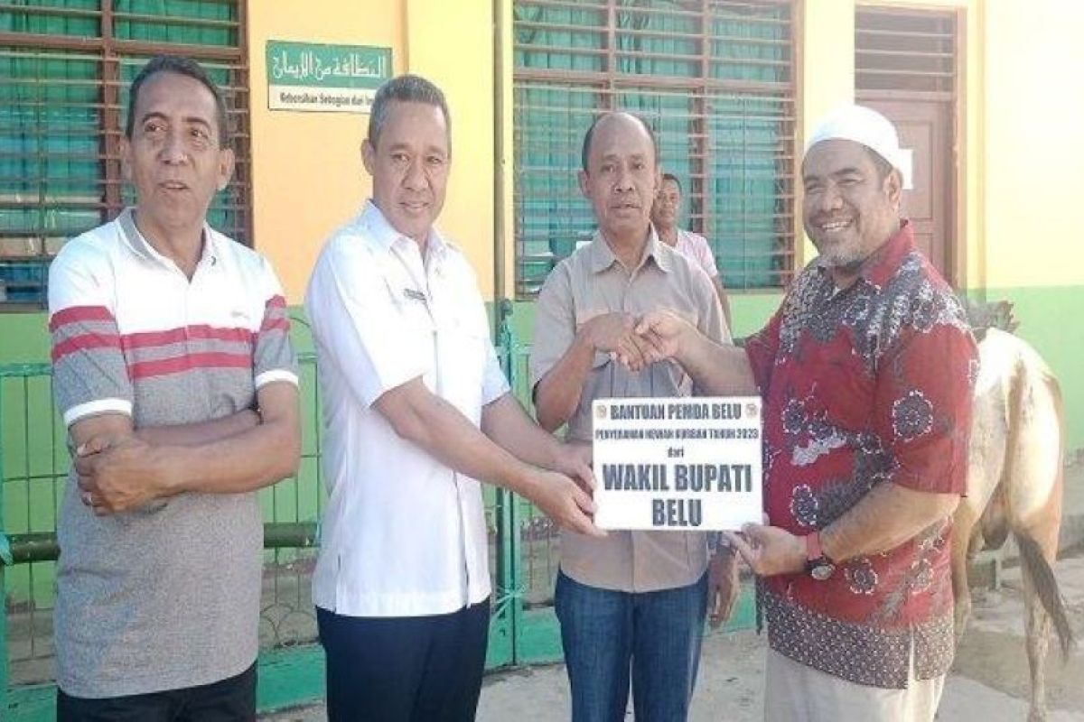 Pemkab Belu serahkan bantuan empat ekor hewan kurban