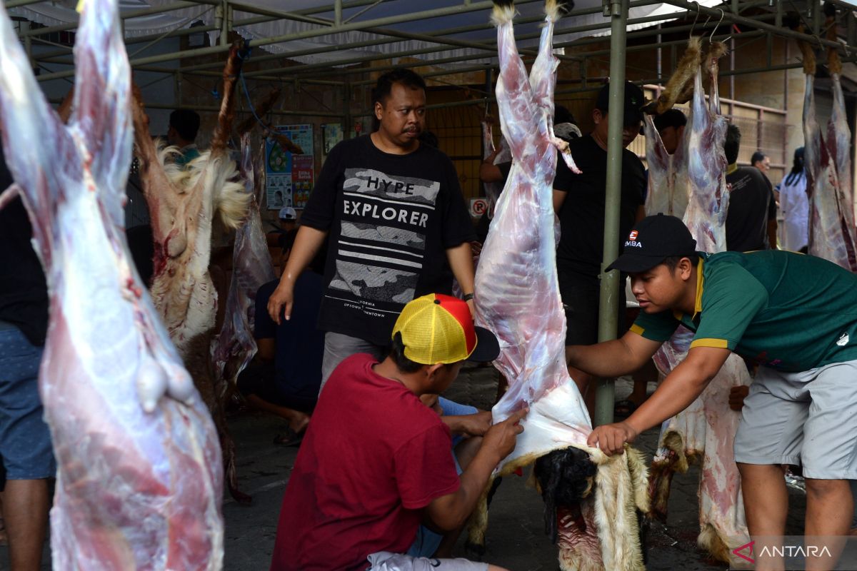 Cara mengolah daging kambing agar tak berbau 'prengus'