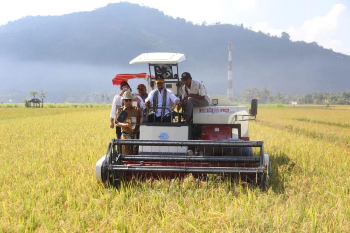 Pemda tidak ada opsi beras impor masuk NTB