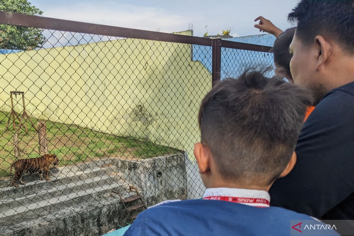 Medan Zoo antisipasi ribuan pengunjung pada liburan akhir pekan