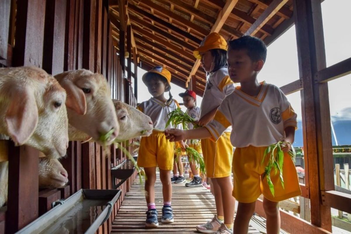 Mini agrowisata Surabaya jadi salah satu destinasi edukasi favorit anak-anak