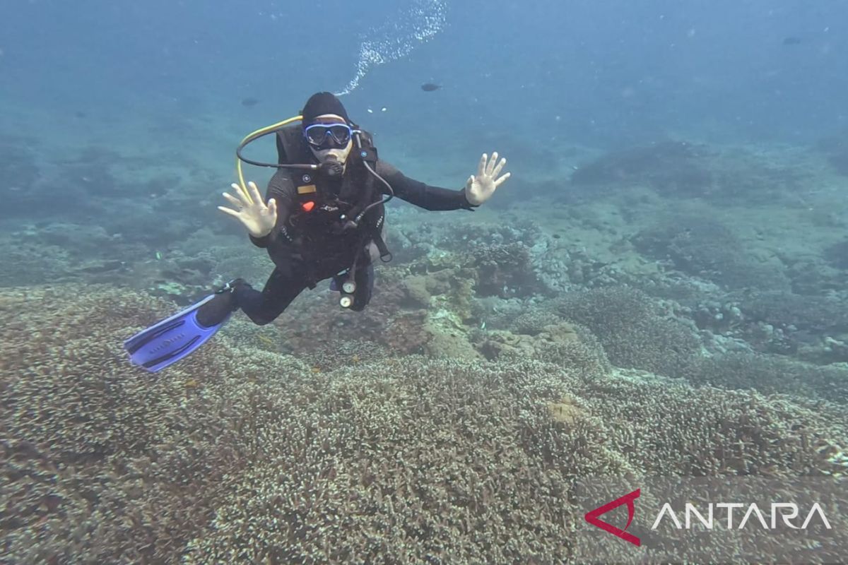 IMO tetapkan Nusa Penida Bali dan Gili Matra NTB sebagai kawasan laut sensitif