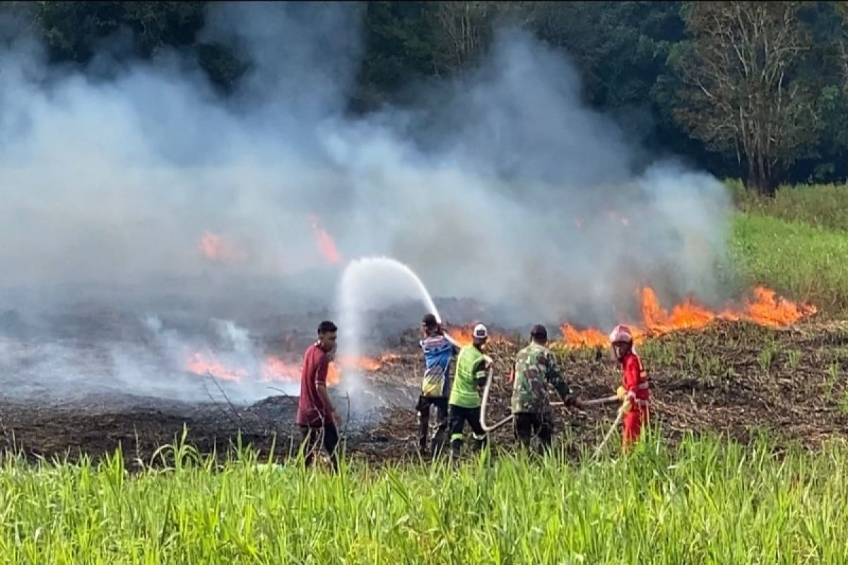 BPBD padamkan kebakaran 30,04 hektare lahan gambut