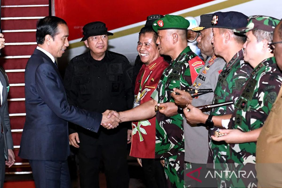 Presiden akan meresmikan bandara di Asmat dan tinjau "food estate" Keerom