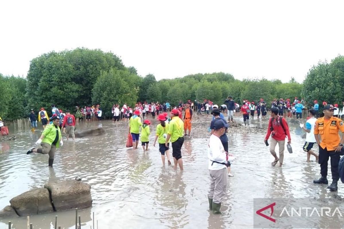 Peserta Jumbara PMR tanam 1.000 bibit mangrove di Lampung Selatan