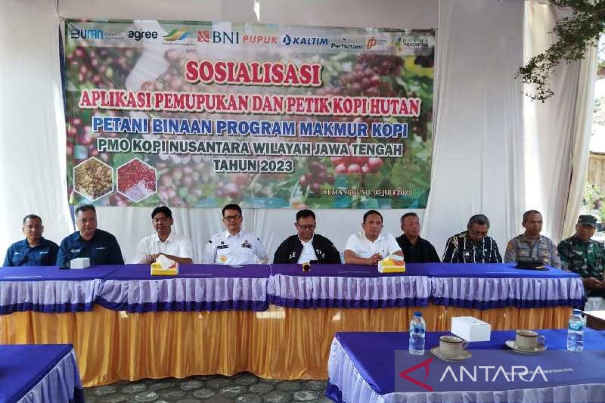 Masyarakat kelola 3.000 hektare tanaman kopi KPH Kedu Utara Perhutani