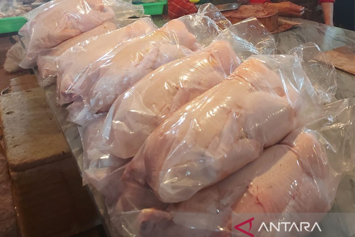 Aprindo Papua sebut pasar ritel alami kenaikan harga daging ayam