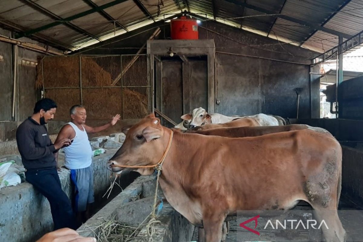 Pemkab Boyolali ingatkan peternak waspadai penularan antraks