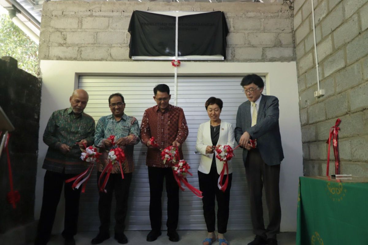 Sleman mendukung pembangunan laboratorium pengembangan jamur konsumsi