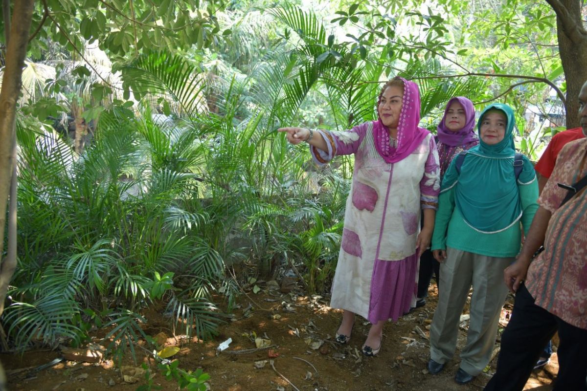 Pemkot  Semarang tata taman kota hilangkah kesan kumuh