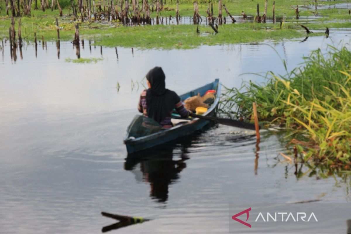 Palangka Raya maksimalkan peran Pokmaswas cegah penangkapan ikan secara ilegal