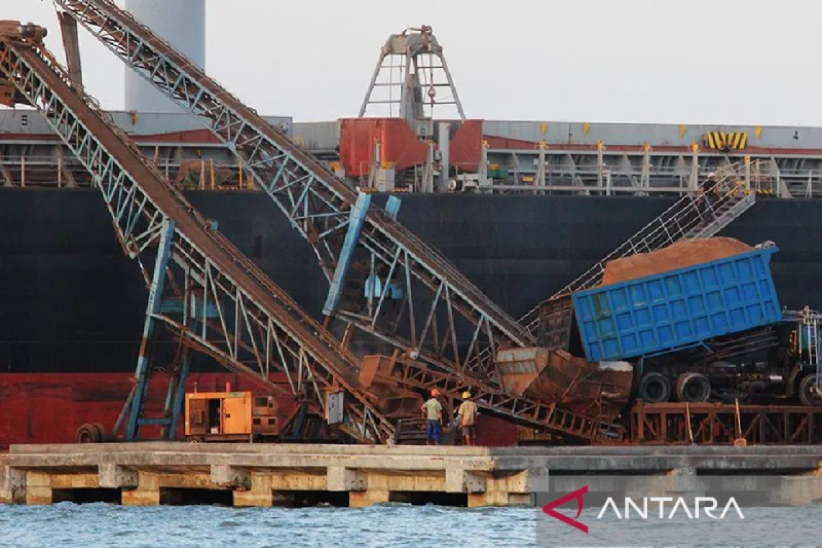 Apkasindo sarankan pemerintah bangun pelabuhan CPO