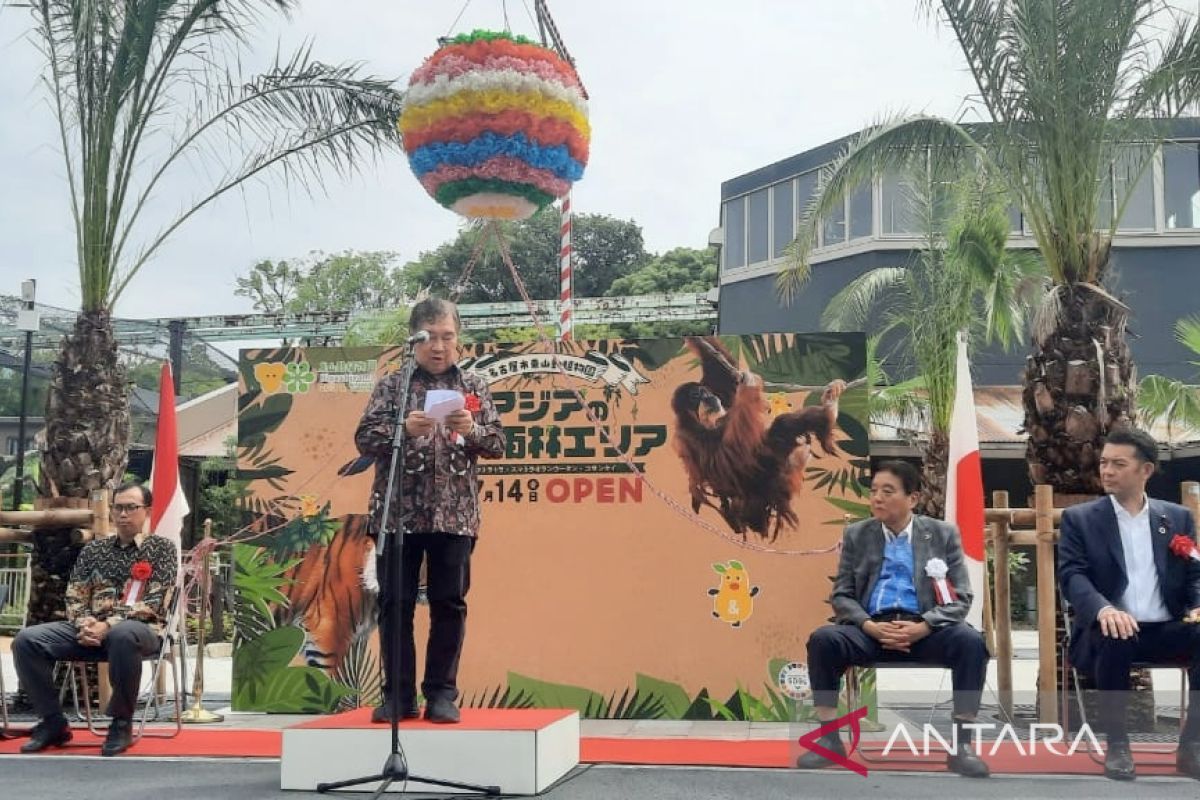 Taman Safari-Jepang resmikan rumah baru orangutan-harimau sumatera