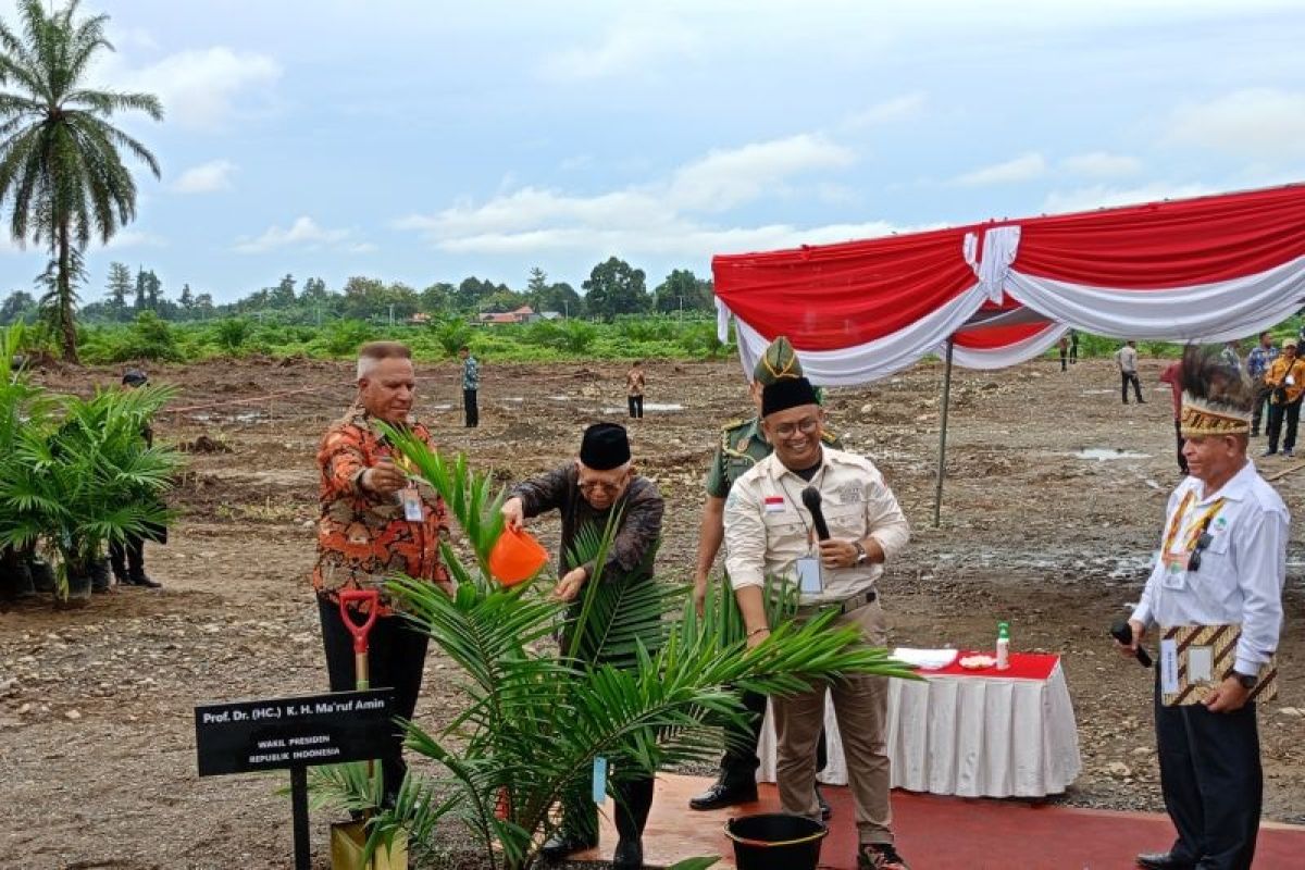 Wapres Ma'ruf Amin sebut kerusuhan di Dogiyai hambat pembangunan Papua