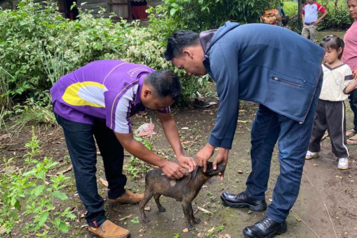 Sukabumi Jabar tangani 73 kasus gigitan hewan penular rabies