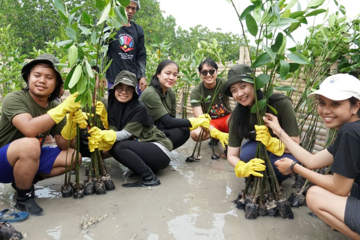 Rehabilitasi ekosistem biru di Hari Mangrove Sedunia