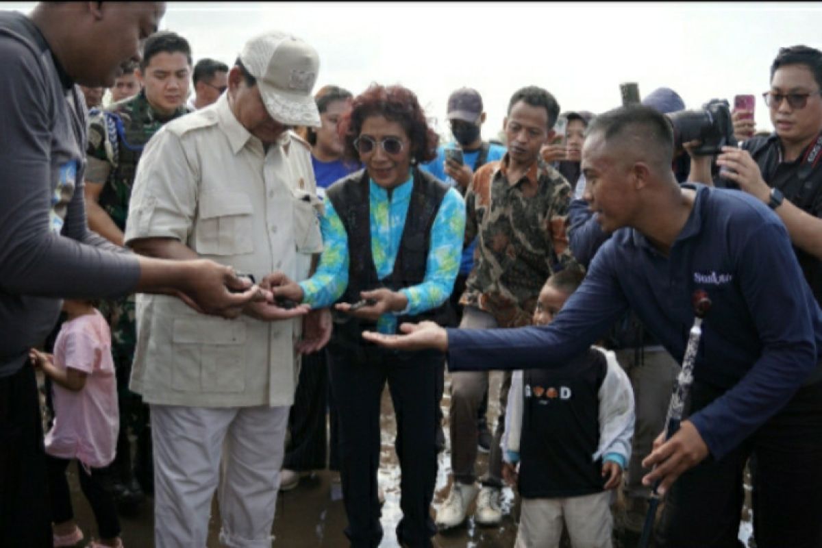 Pertamina dan Pandu Laut bersihkan pantai dan lepas liarkan penyu lekang