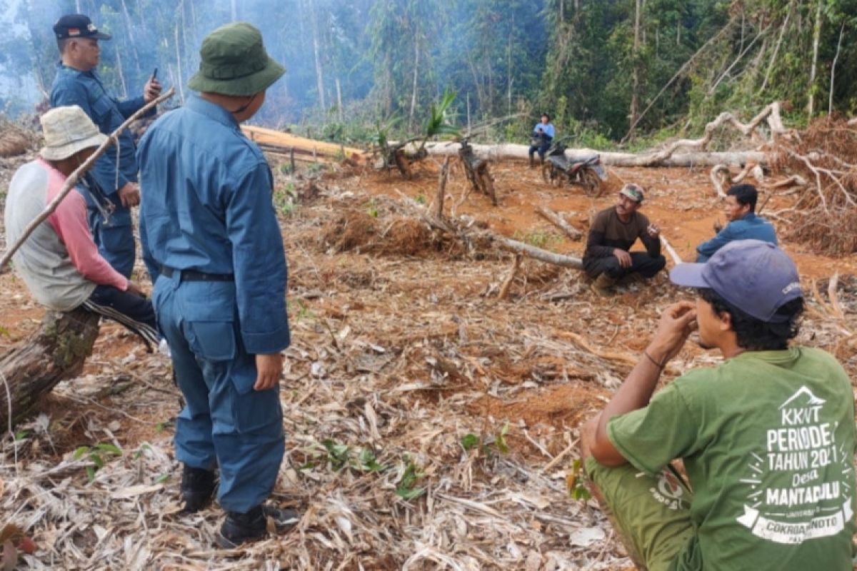 Kepala desa diduga rambah hutan konsevasi ditangkap