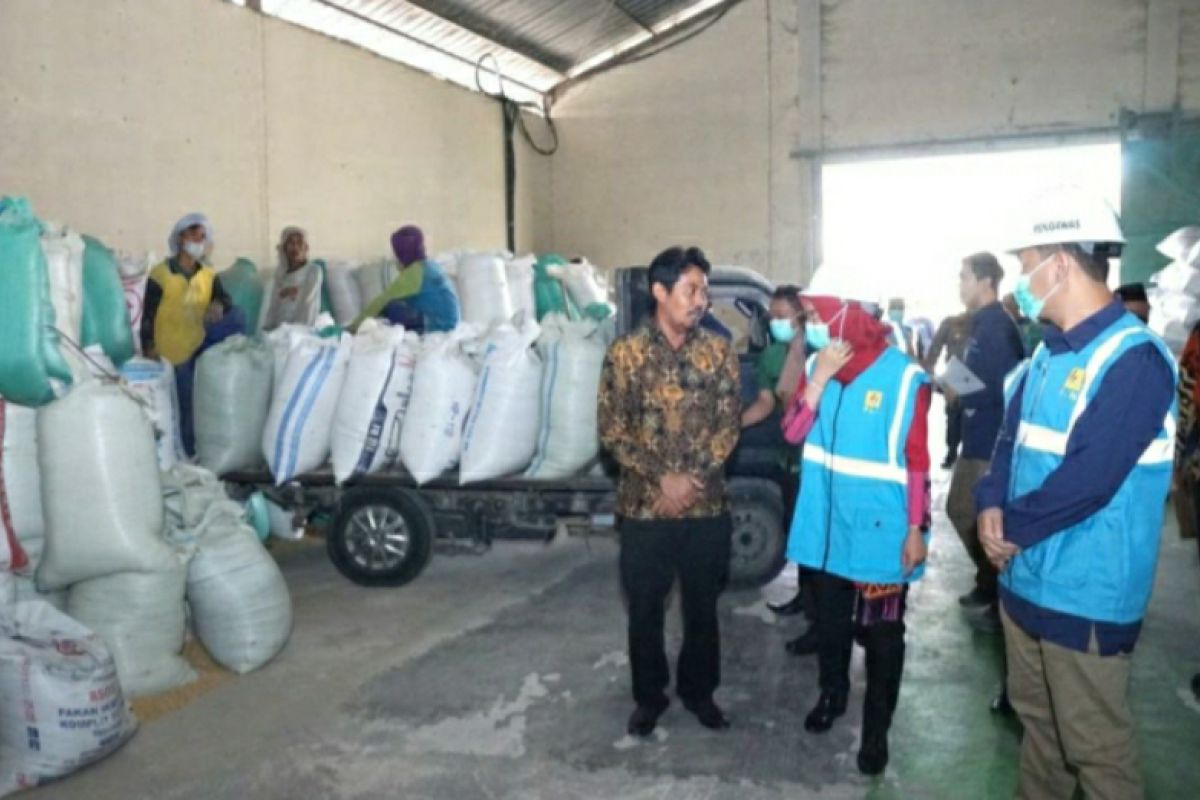 "Electrifying Agriculture" PLN melesatkan bisnis UD 2 Putri Demak