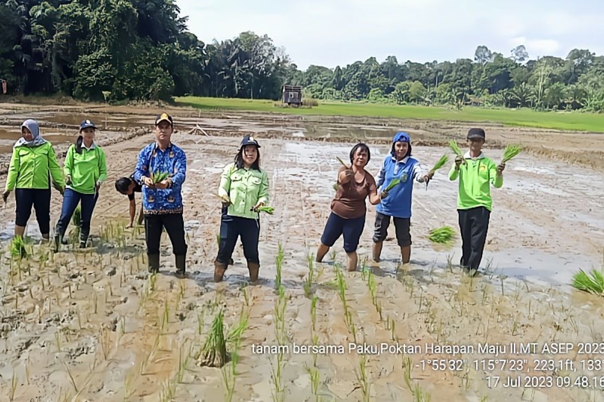 DPKP Bartim minta BPP Paku optimalkan pendampingan poktan