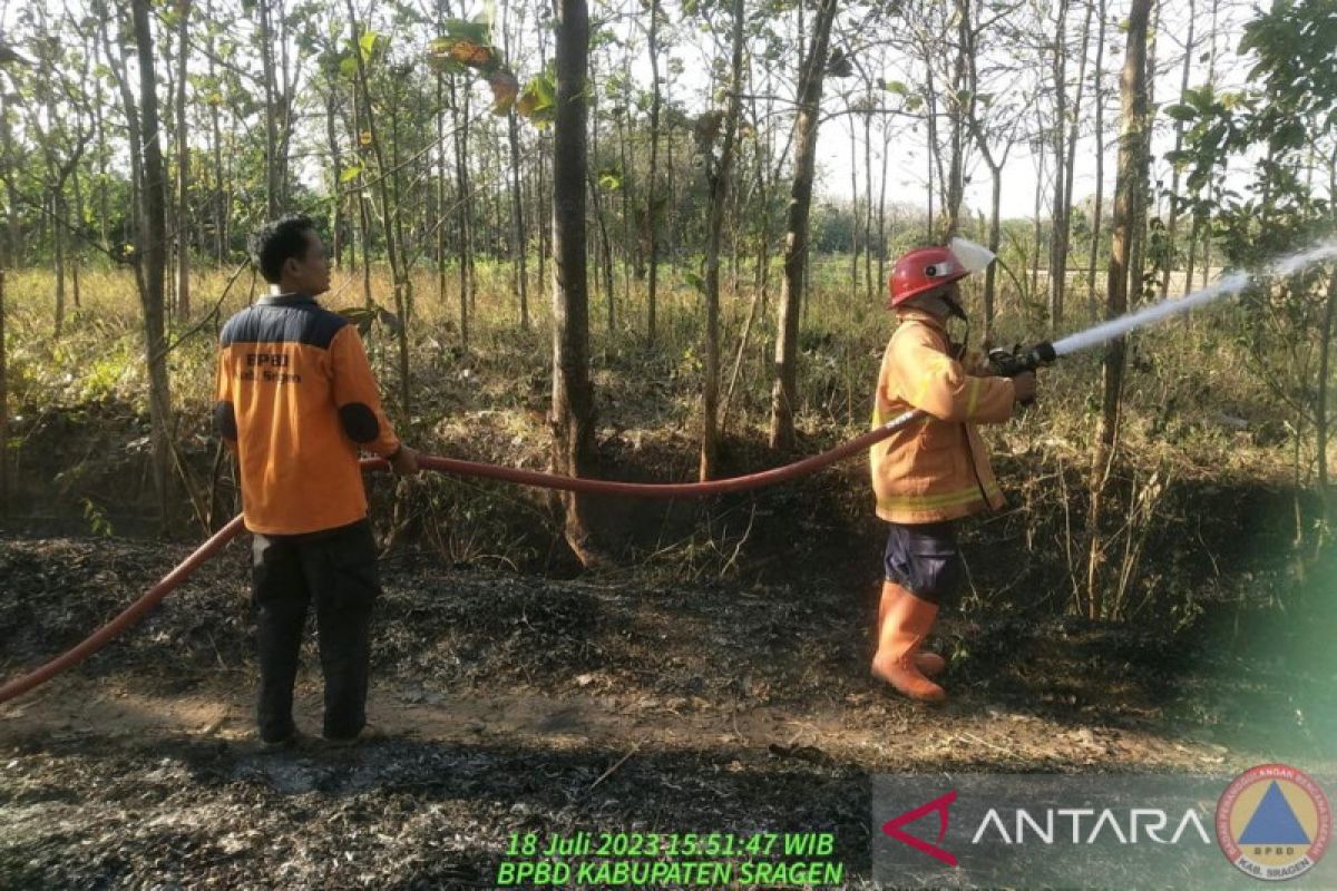 Karhutla di Jateng berhasil dipadamkan