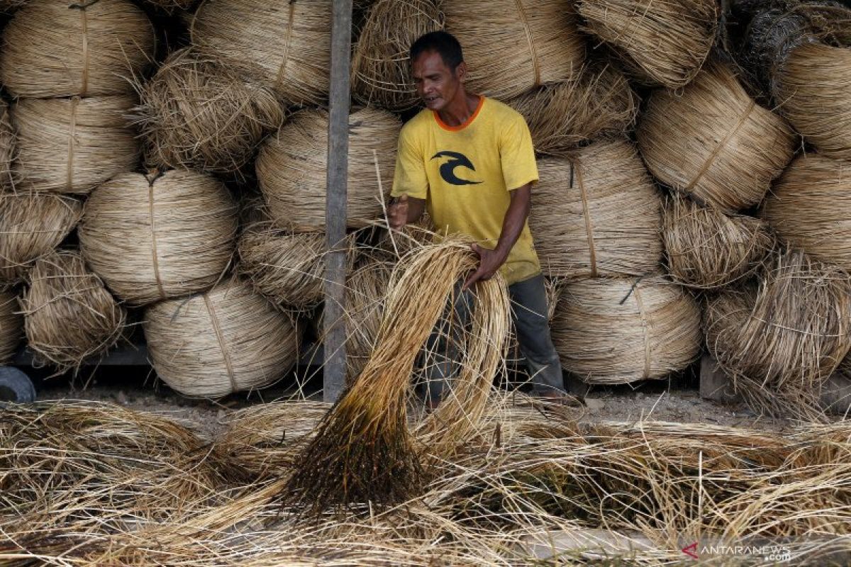 APRI: Ketentuan tentang rotan pada Permendag 2023 masih multi-tafsir