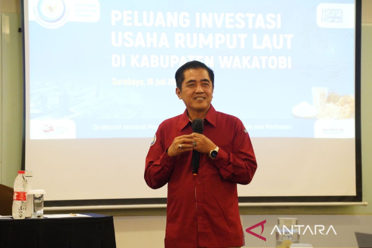 KKP fasilitasi investasi rumput laut di Wakatobi Sultra