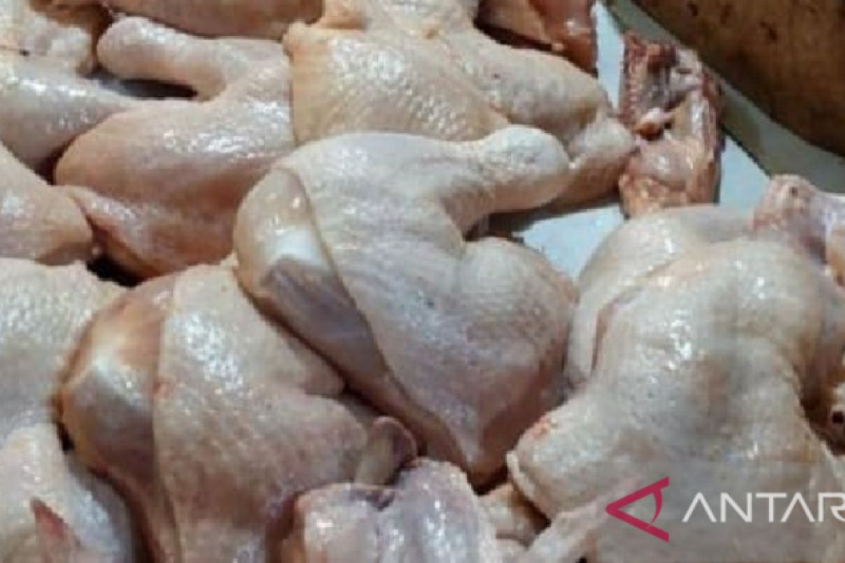 Biak berupaya stabilkan harga daging ayam lokal