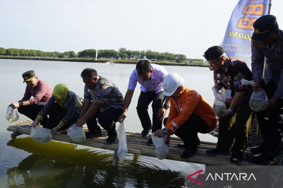 BBPBAP  Jepara percepat pengembangan klaster bandeng