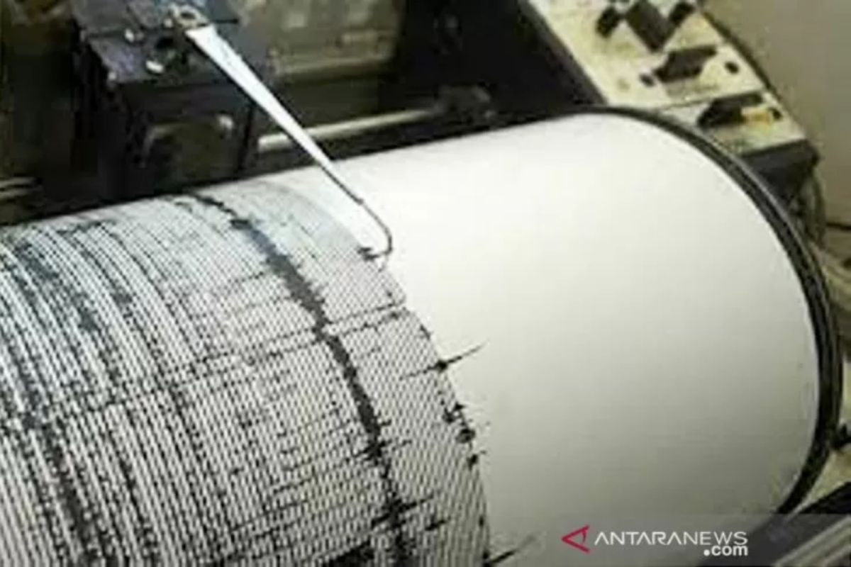 Info gempa bumi magnitudo 4,3 guncang Maluku