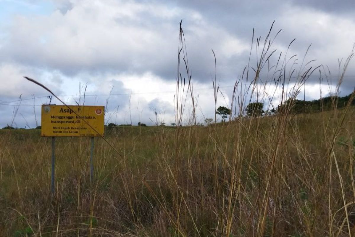 Masyarakat Manggarai diimbau  waspada dampak El Nino