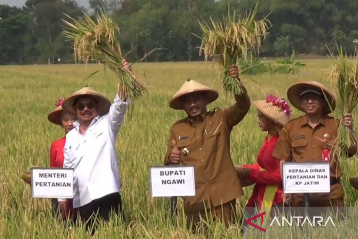 Ngawi daerah penyangga dampak El Nino