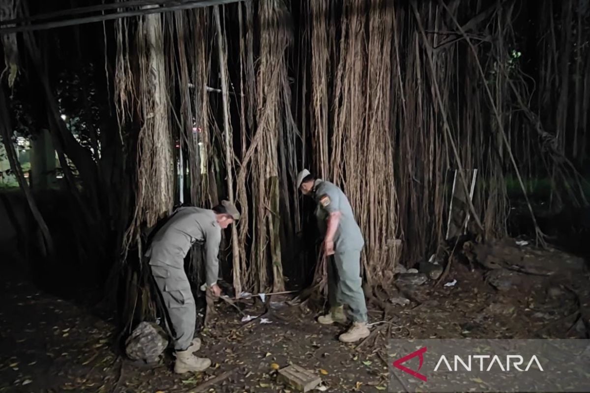 Satpol PP Jaktim perketat pengawasan Hutan Kota UKI