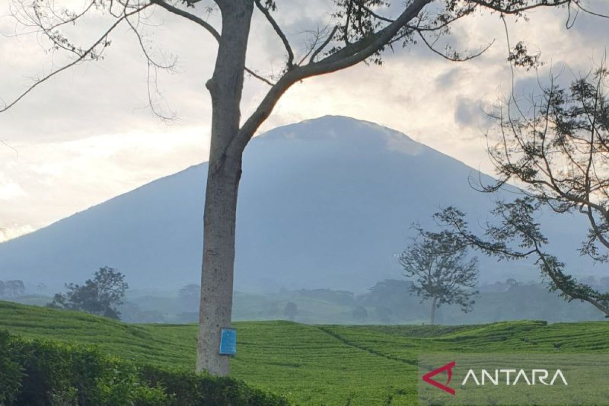 Warna air danau kawah Gunung Dempo berubah, ini penjelasan Badan Geologi