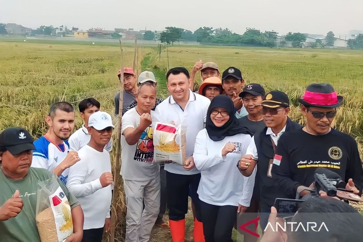 Sudin KPKP Jakbar imbau petani padi di Semanan antisipasi El Nino