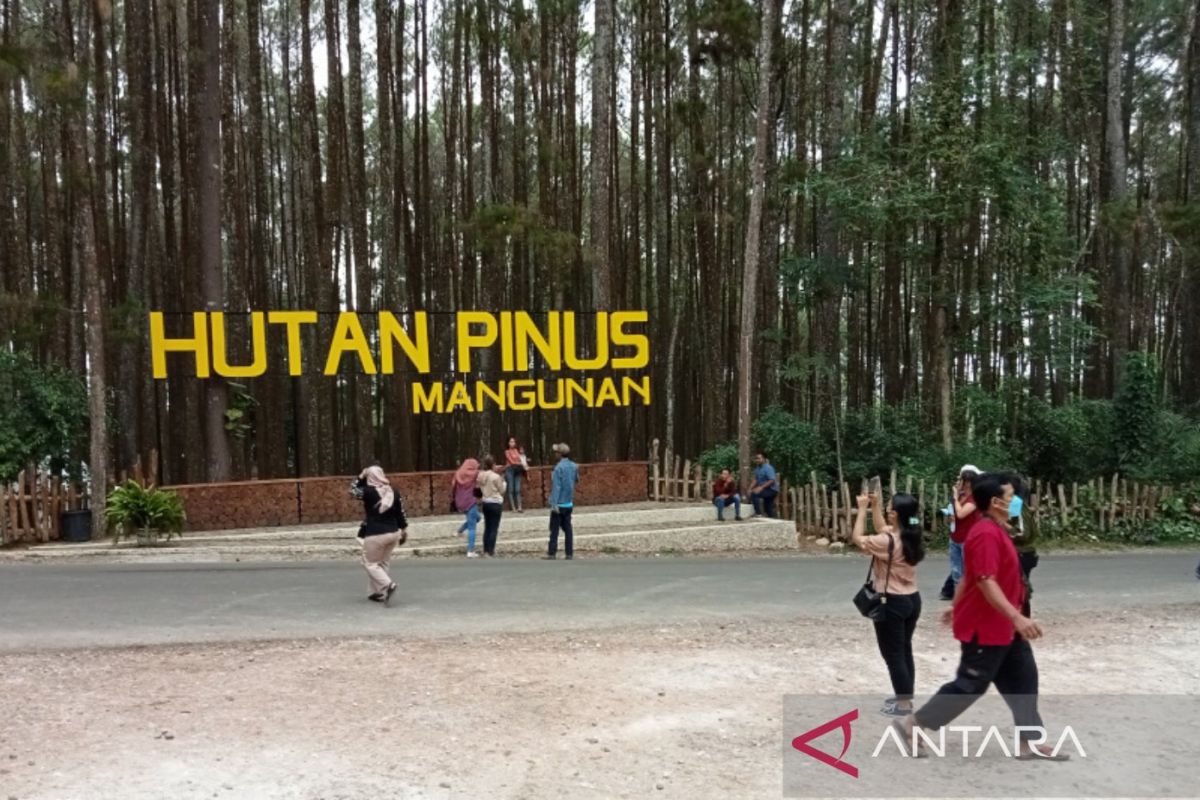 Bantul menguatkan manajemen pengelolaan desa wisata